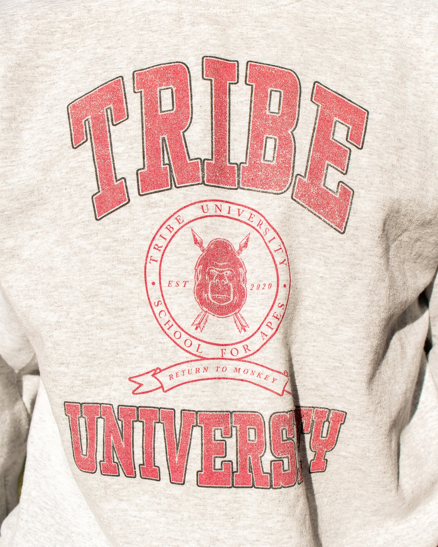 University Vintage Crewneck Sweatshirt