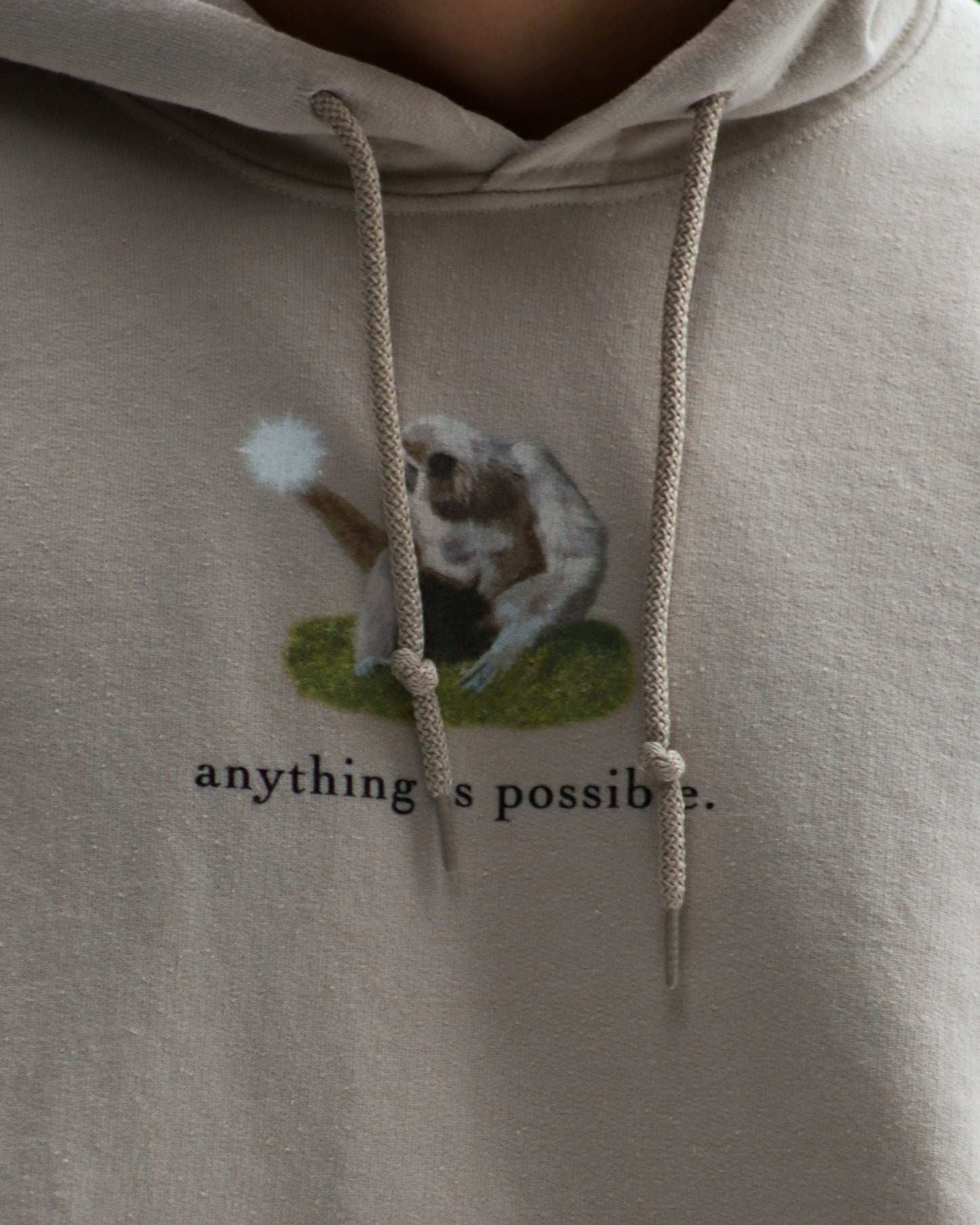 Anything is Possible Hoodie